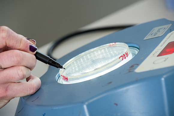 Scottish_Water_QTest_Labs_Heriot-Watt_Uni_Campus